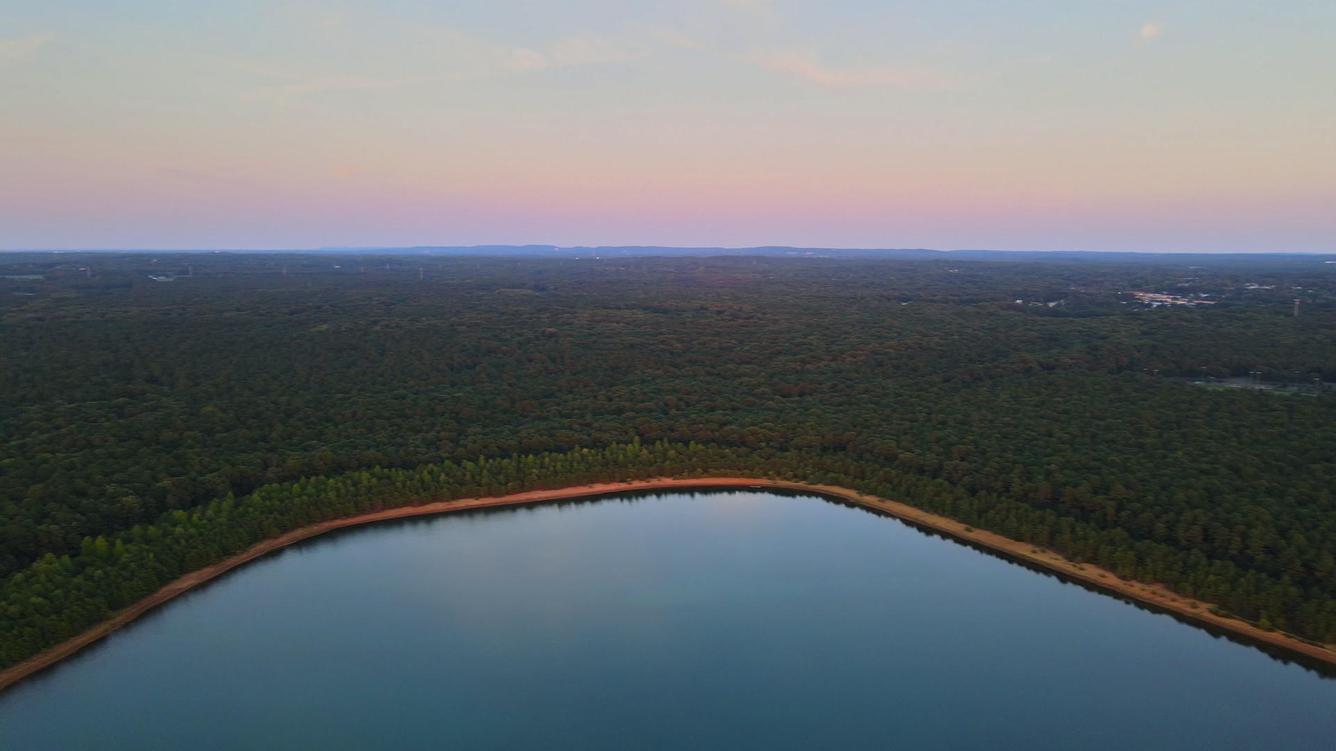 森林中池塘的全景视频的预览图
