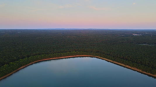 森林中池塘的全景视频的预览图