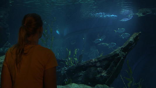 在Bangkok海洋世界的年轻女子泰国王国海洋世界的水族馆视频的预览图
