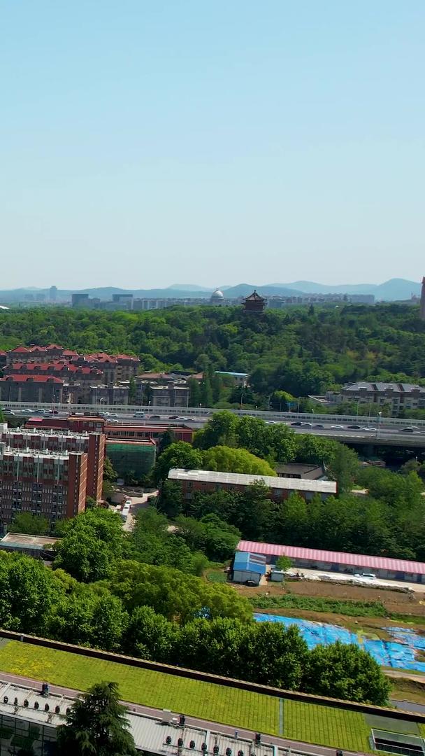 南京4A级景区夫子庙风光带大报恩寺视频的预览图