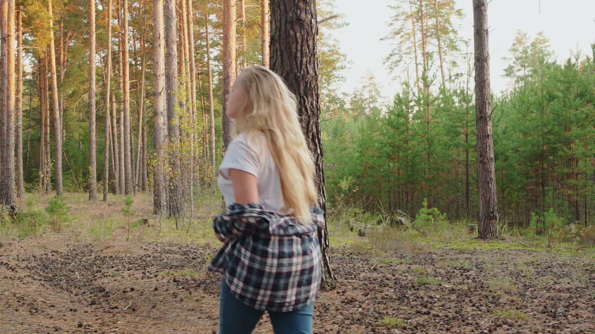 年轻的女孩在针叶林地的松树上散步金发女郎暑假在森林里视频的预览图