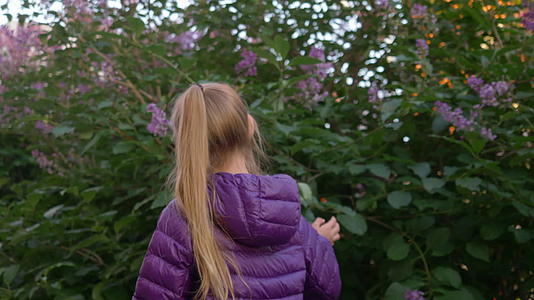春天的一天城市公园里年轻的女孩们沿着盛开的丁香树视频的预览图