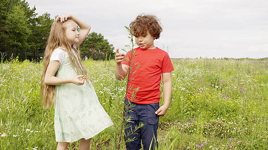 年轻的女孩和男孩在村里的绿色草地上看花和植物视频的预览图
