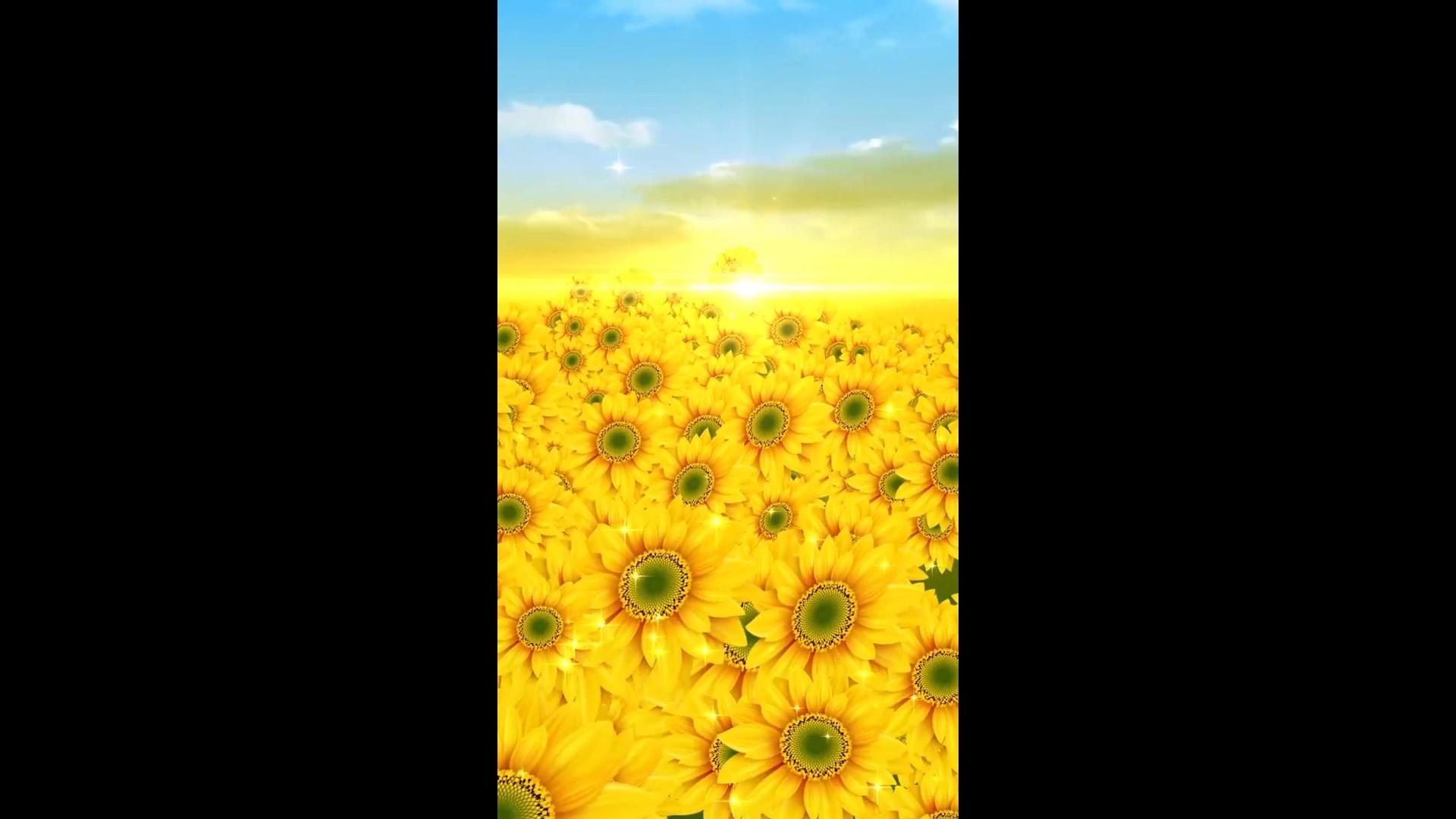 花海向日葵阳光绚丽相册背景视频的预览图