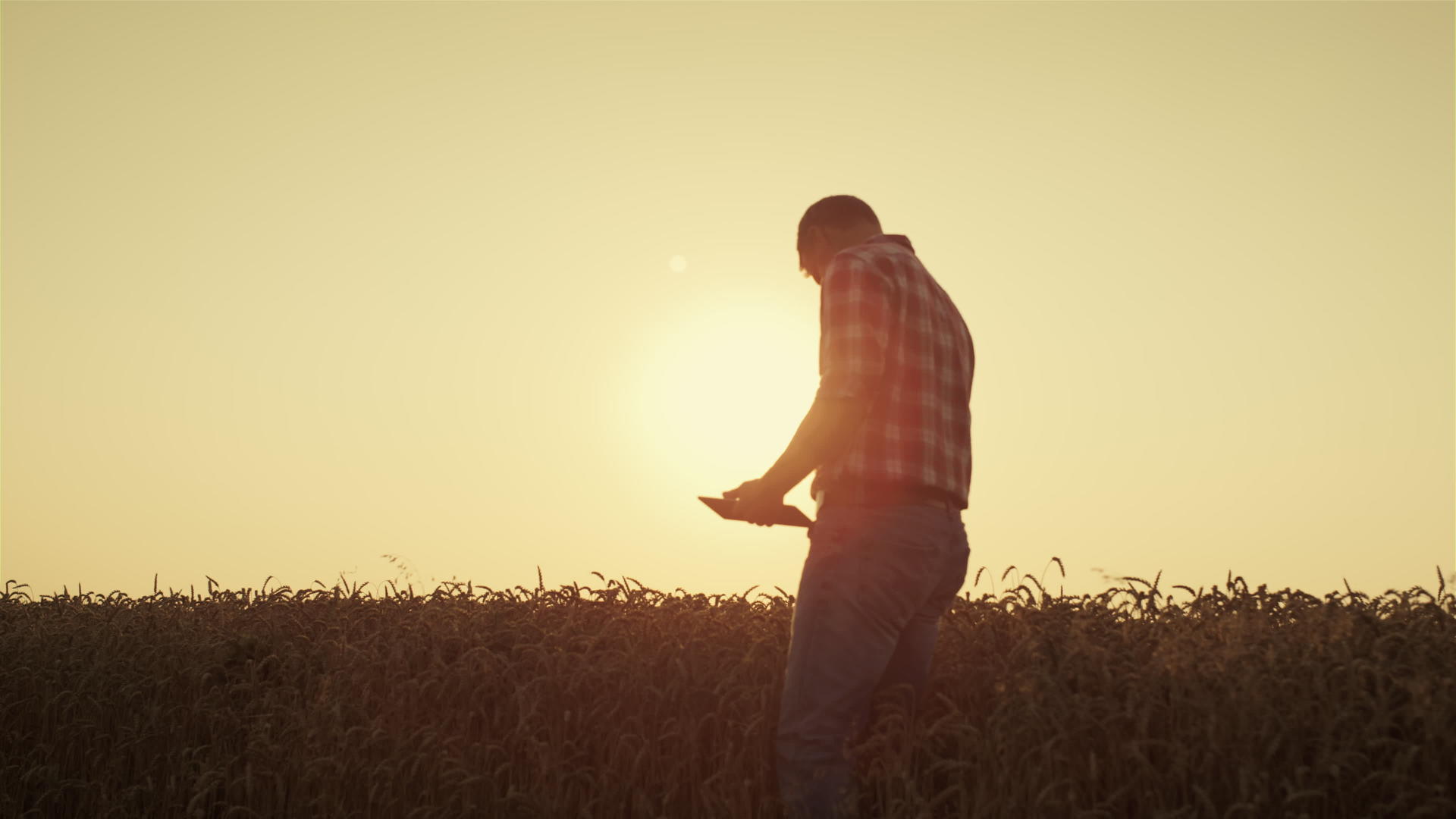 在金色的夕阳下农民剪影使用平板电脑视频的预览图