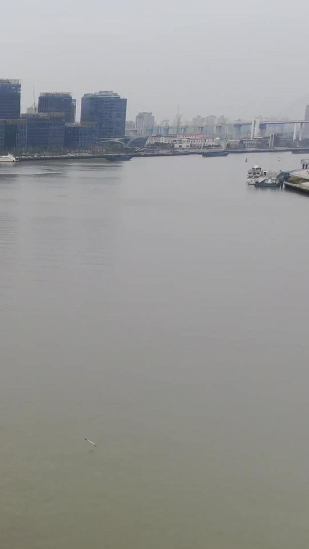 黄浦江游轮视频的预览图