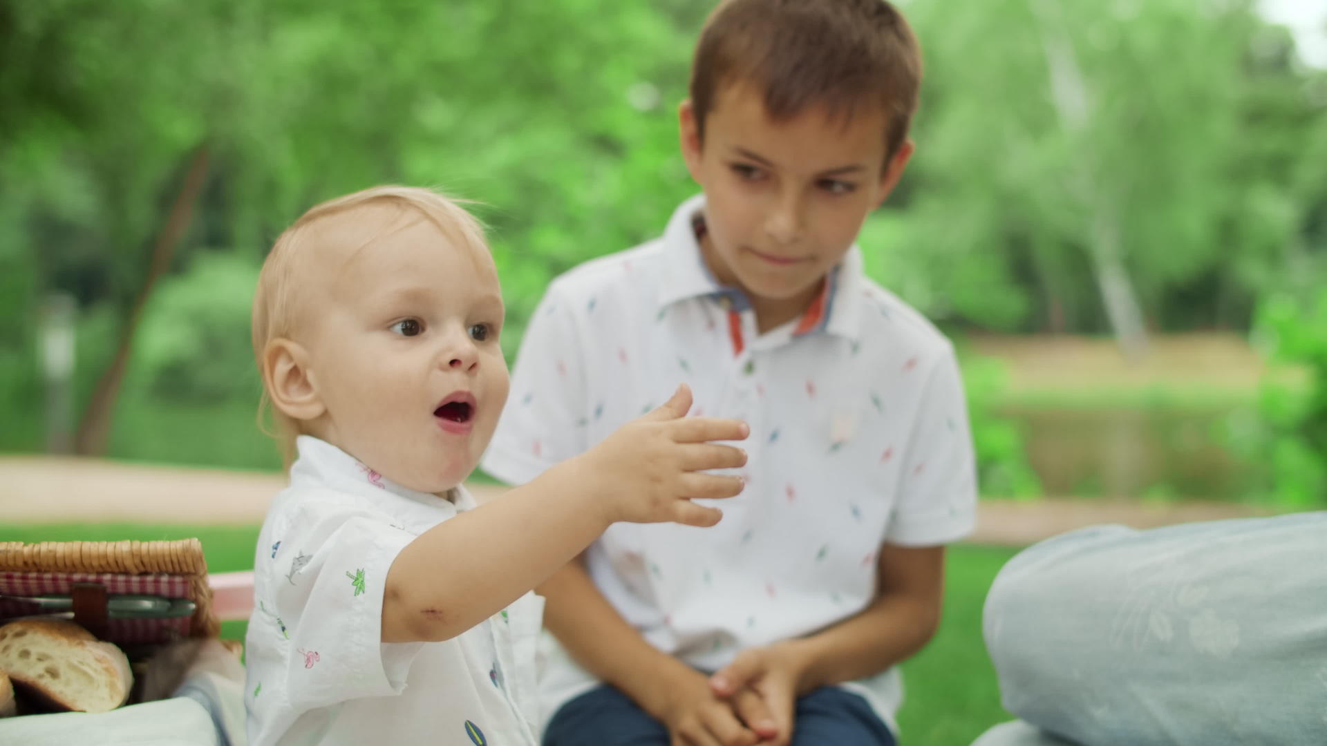 在公园野餐的家庭里樱桃兄弟亲吻男孩的脸颊视频的预览图