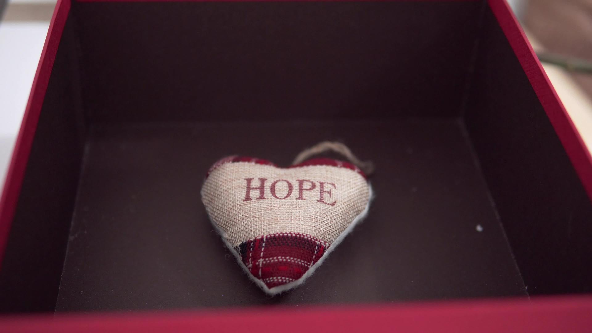 心形枕头上写着希望视频的预览图