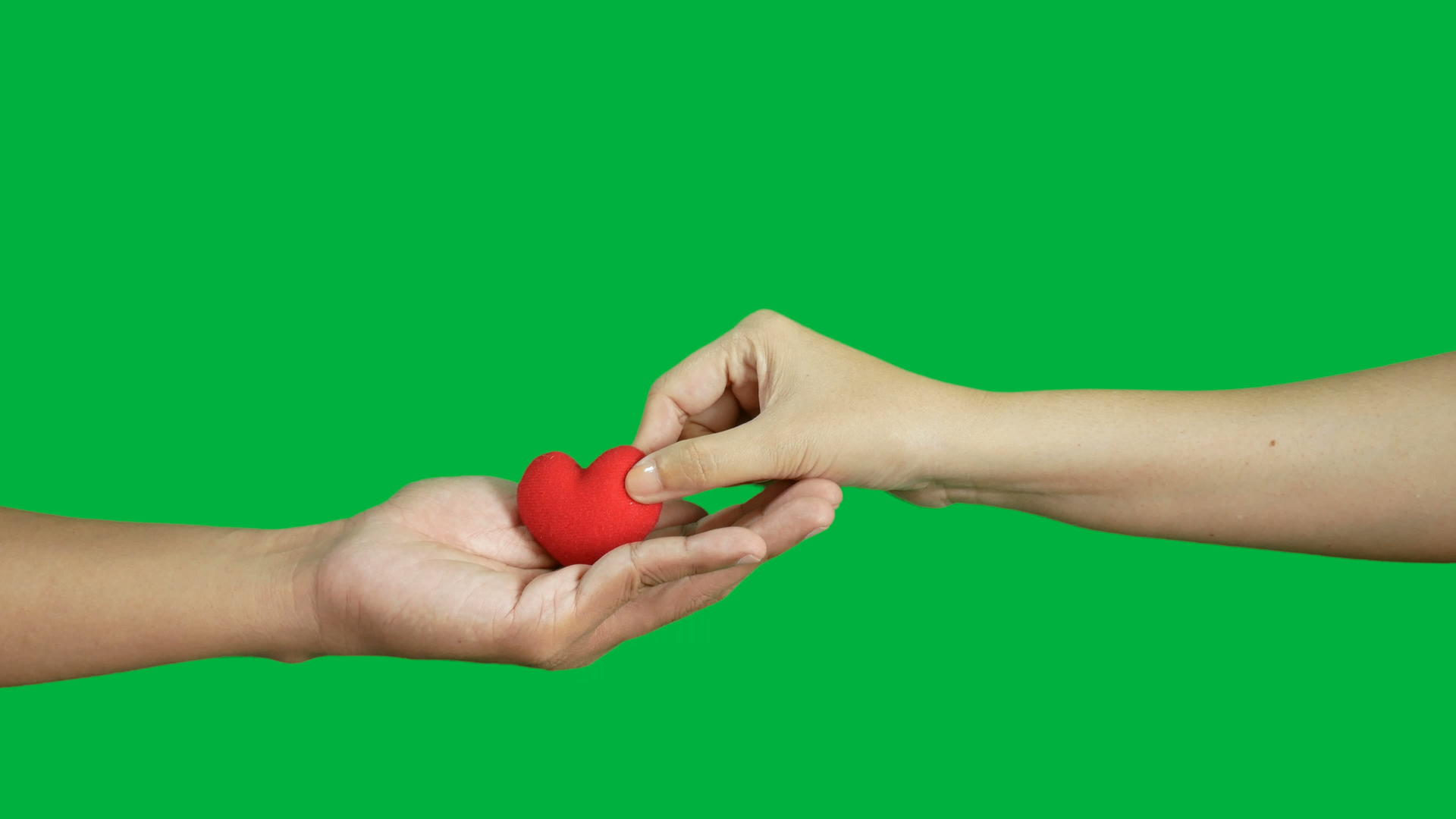 4k自愿伸出红心的手被用来在色谱键绿屏上孤立捐赠视频的预览图