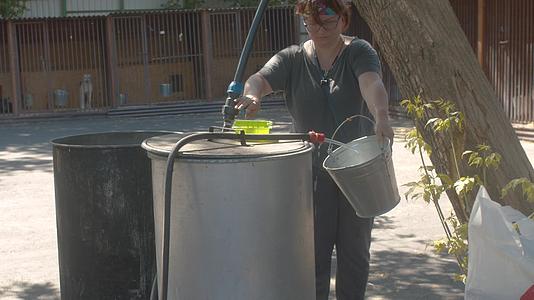 一名女志愿者把水带到桶里视频的预览图