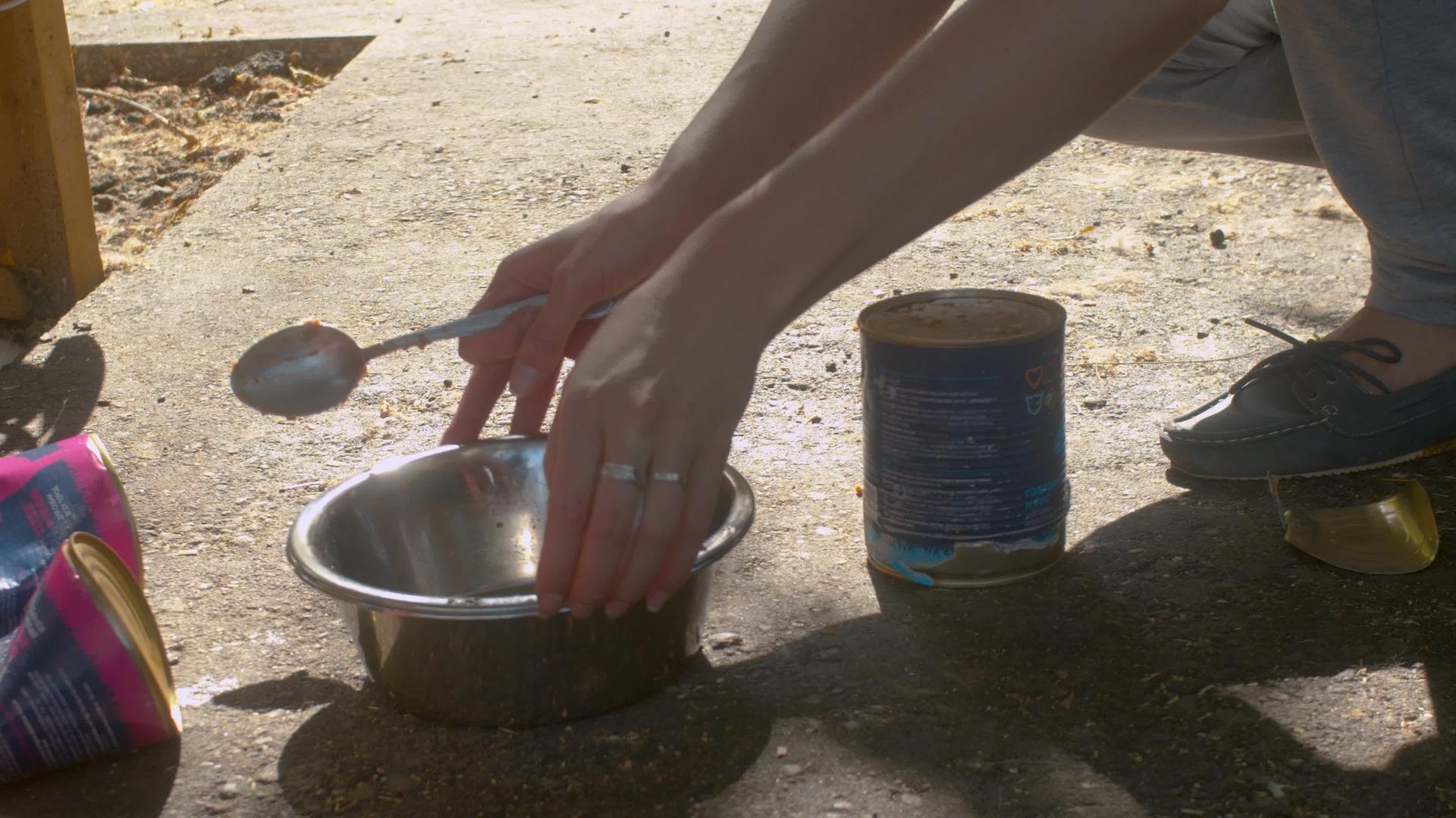 女人把狗粮放在碗里视频的预览图