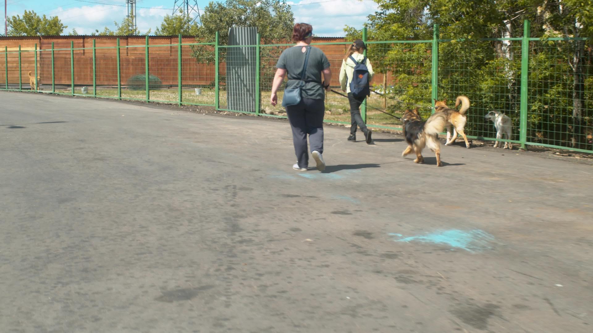 两名女志愿者和狗一起散步视频的预览图