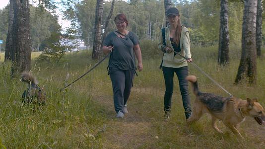 两个女人自愿和狗一起走视频的预览图