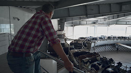 农场工人控制自动转盘系统的挤奶设施工作视频的预览图