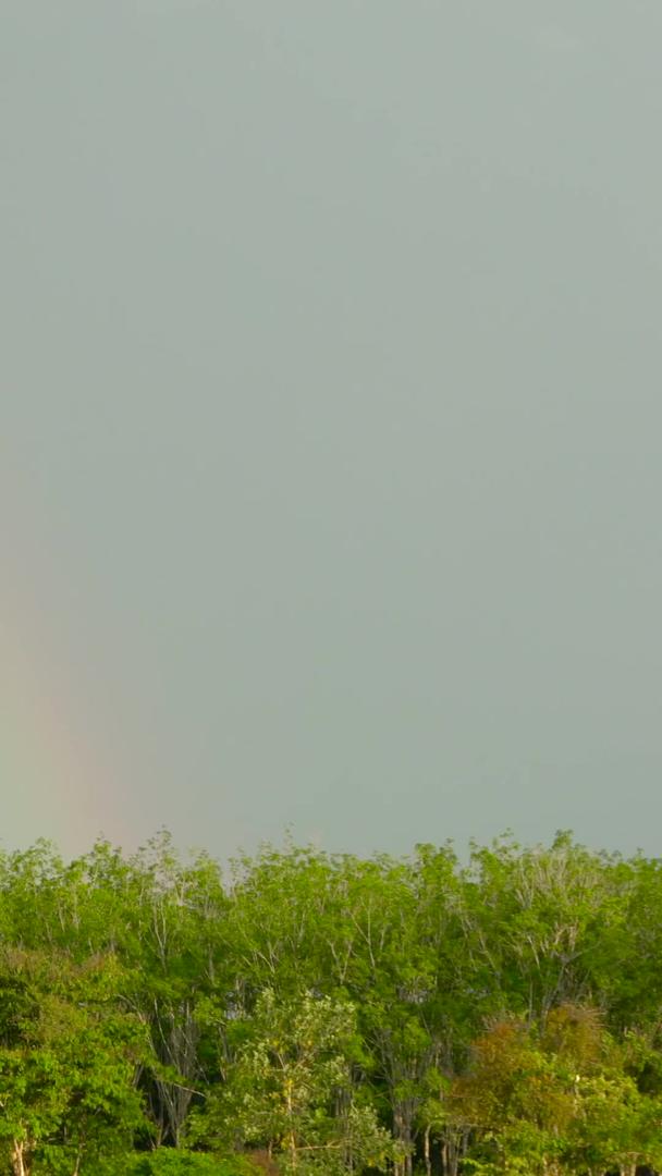 农田白鹭在彩虹下延迟视频的预览图