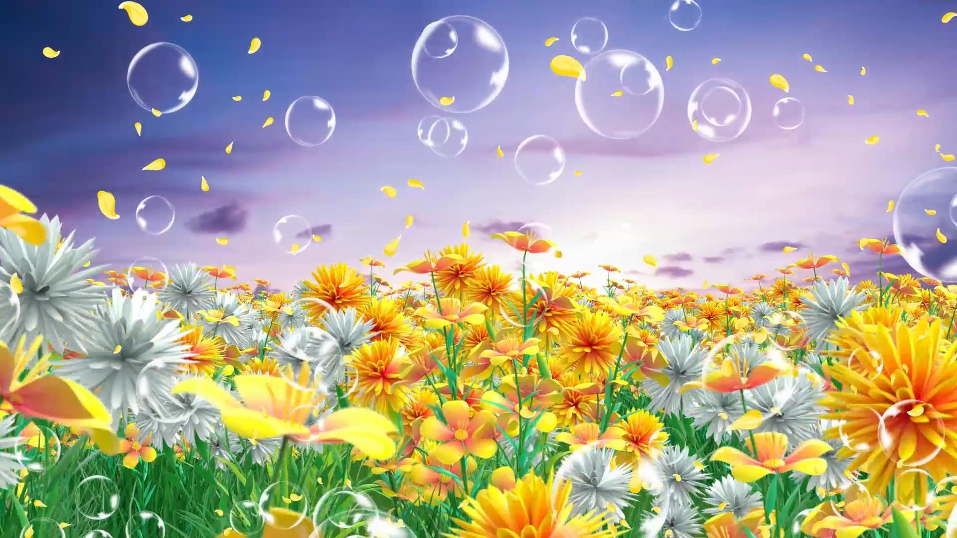 动态大气花海唯美花朵气泡上升背景视频视频的预览图
