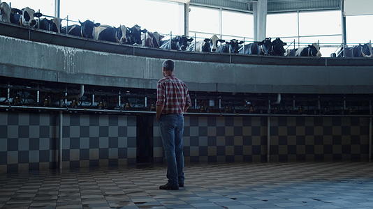 在技术牛棚中农民检查挤奶系统观看转盘视频的预览图