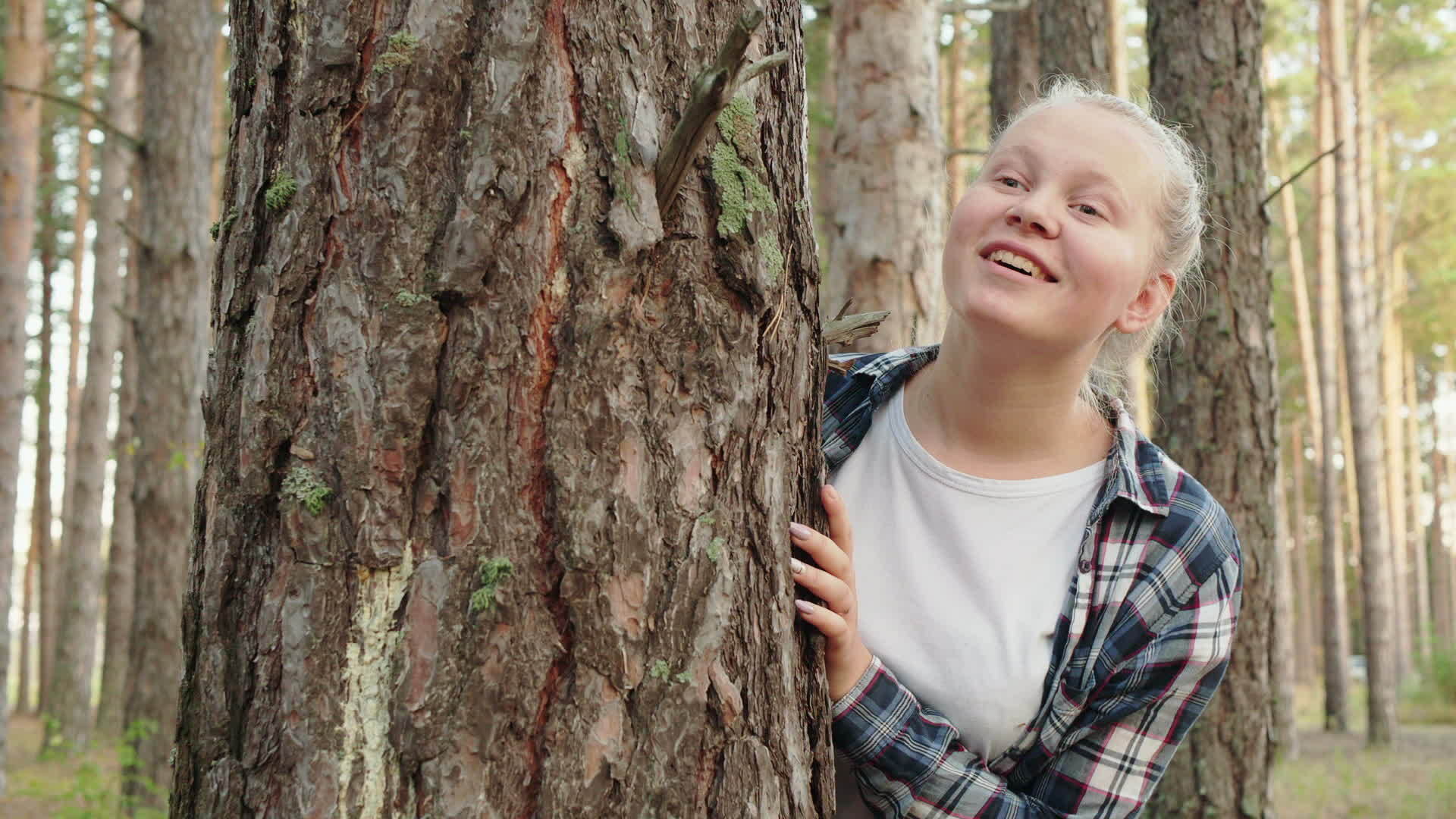 快乐的女孩躲在夏日森林的树干后面女孩在松树后面微笑视频的预览图