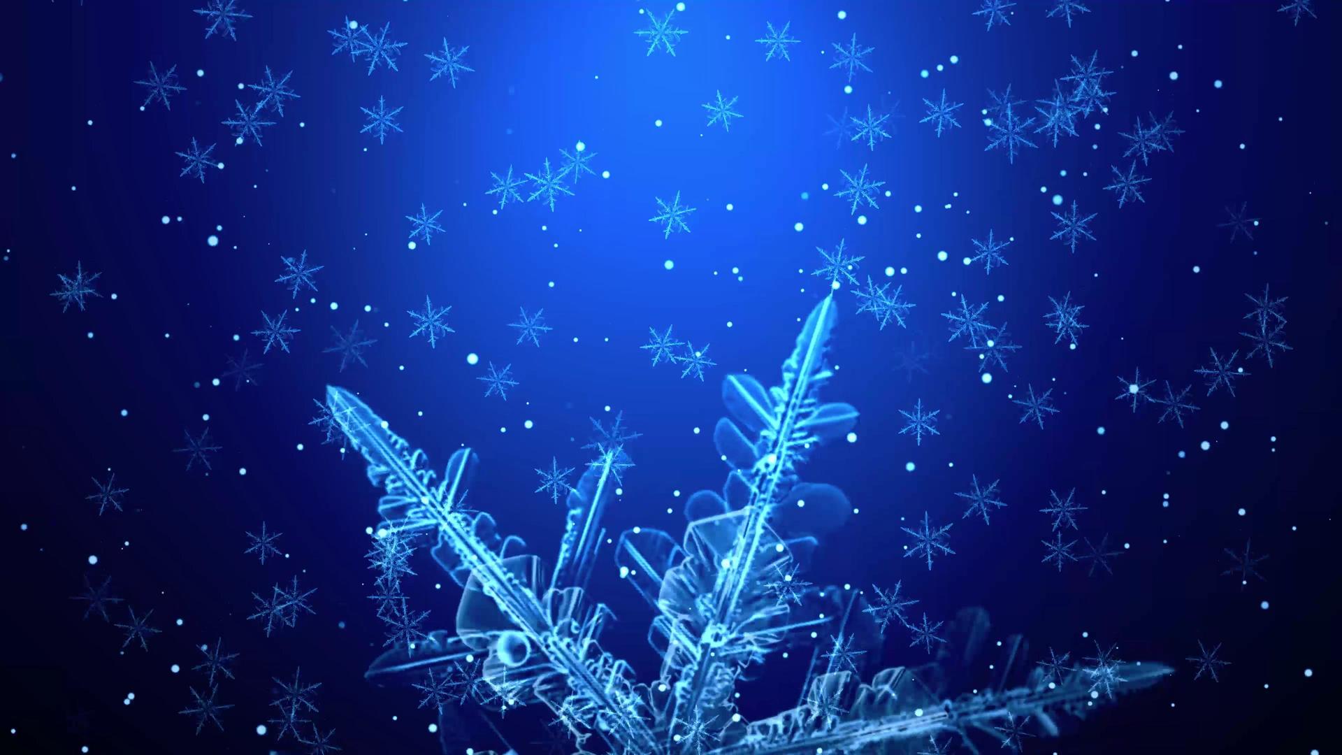 4K蓝色雪花雪景冰晶背景视频视频的预览图