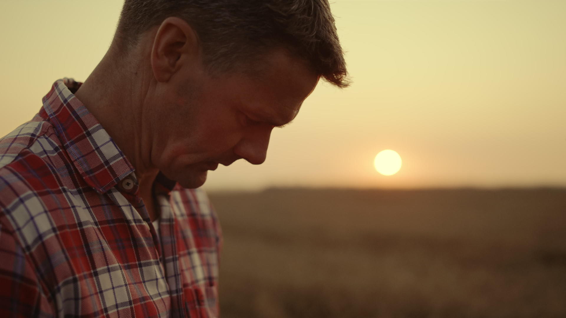 农民面孔在麦田金色阳光下的肖像视频的预览图