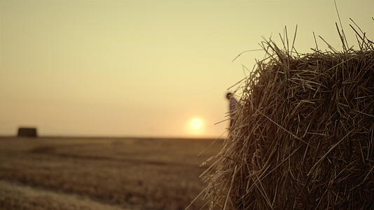 收获黄金夕阳后农民在干草堆里行走视频的预览图
