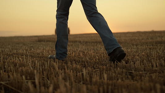 在金色的日落特写中农夫靴带着干草堆走在田野里视频的预览图