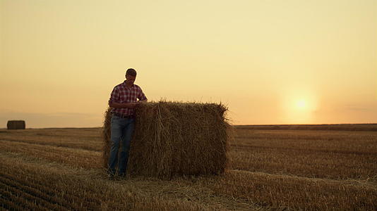 农民们在金色的日落乡村景观中行走干草堆场视频的预览图