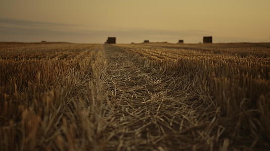 金秋日落的干草堆麦田风景视频的预览图