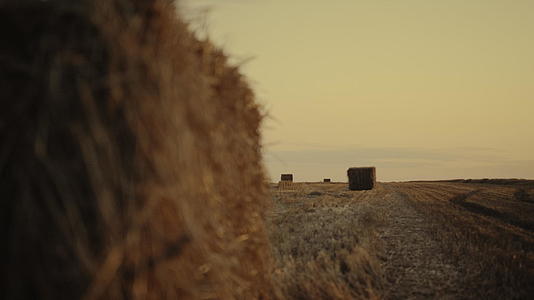 在金黄的日落农田里用干草捆着的麦田视频的预览图
