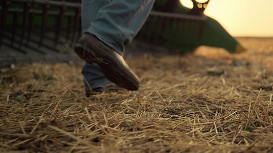 农民脚去田间稻草检查联合收割机在日落时分视频的预览图