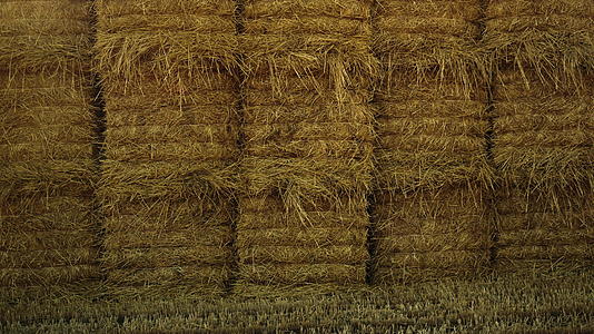 收获的干草堆积在秋田上留茬视频的预览图