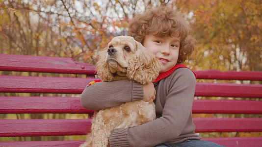 快乐的男孩在秋天公园的长椅上视频的预览图