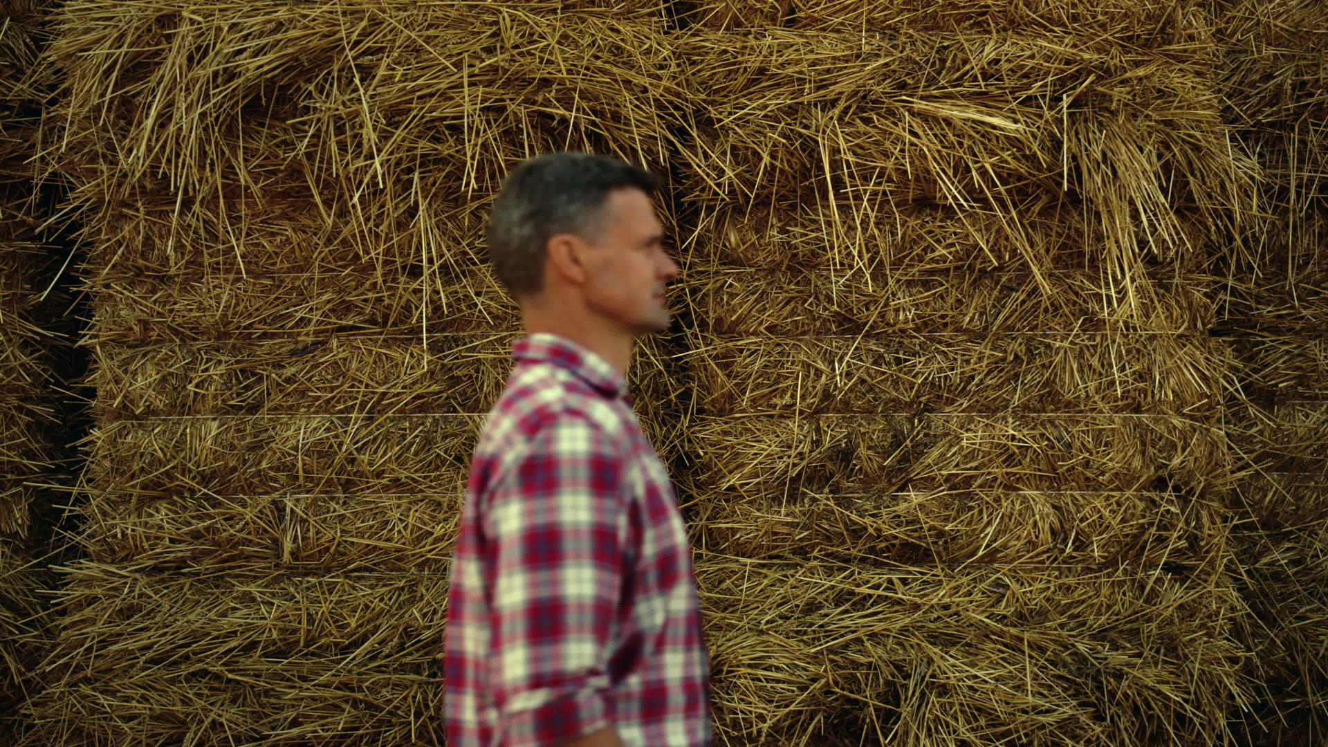 在黄金种植季节专业农艺师走干草堆视频的预览图