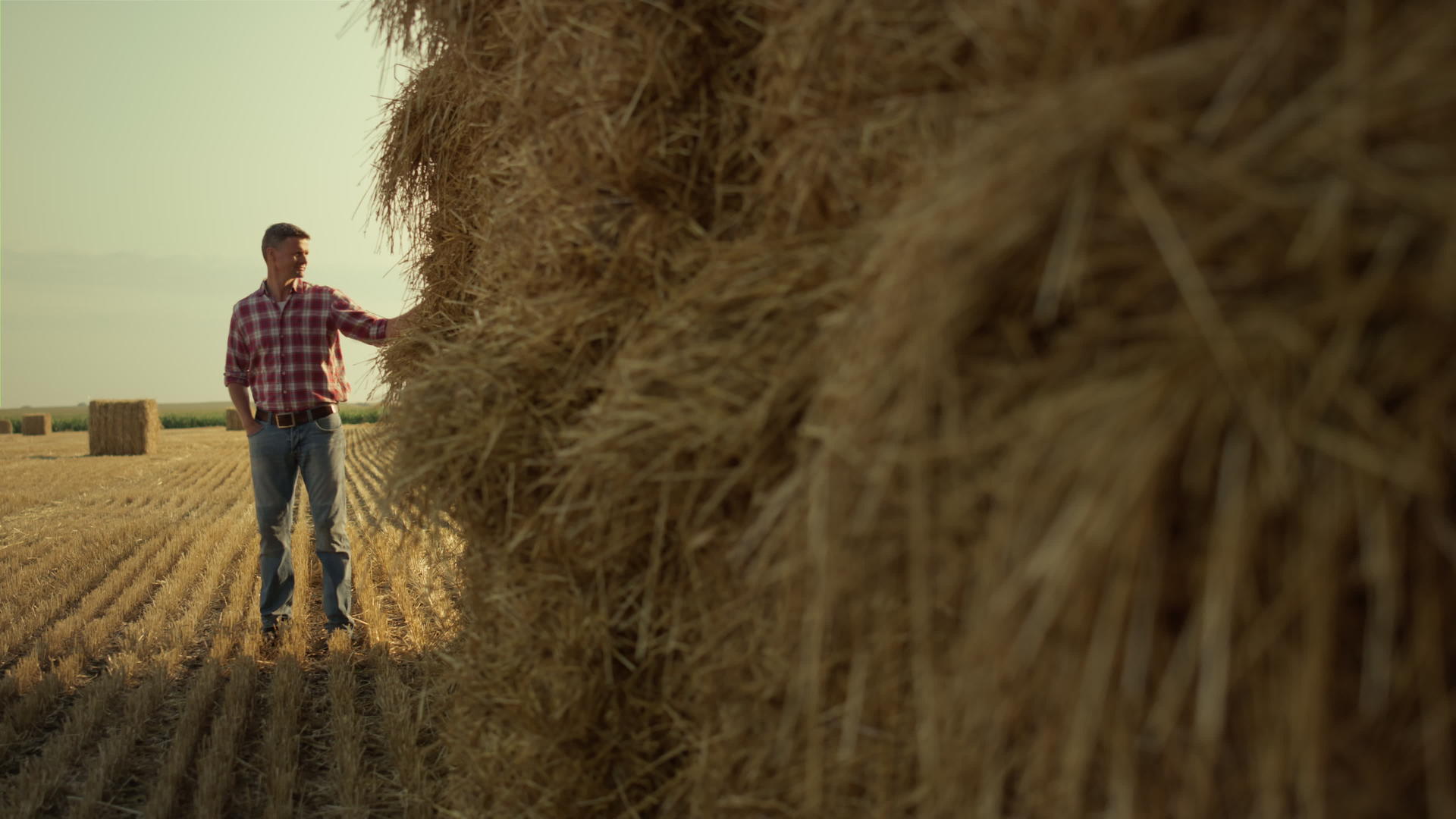 农民在茬田里检查干草堆垛视频的预览图