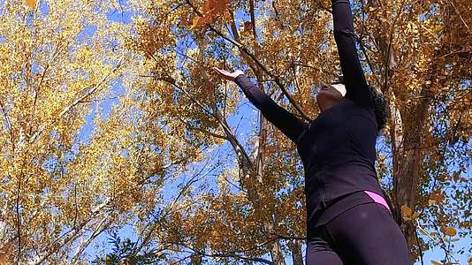 美丽快乐的女士在森林里抛秋叶对抗蓝天的慢动作视频的预览图