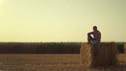 秋夜农民们休息干草堆积视频的预览图