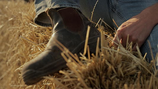 干草堆特写镜头农夫尘土飞扬的靴子视频的预览图