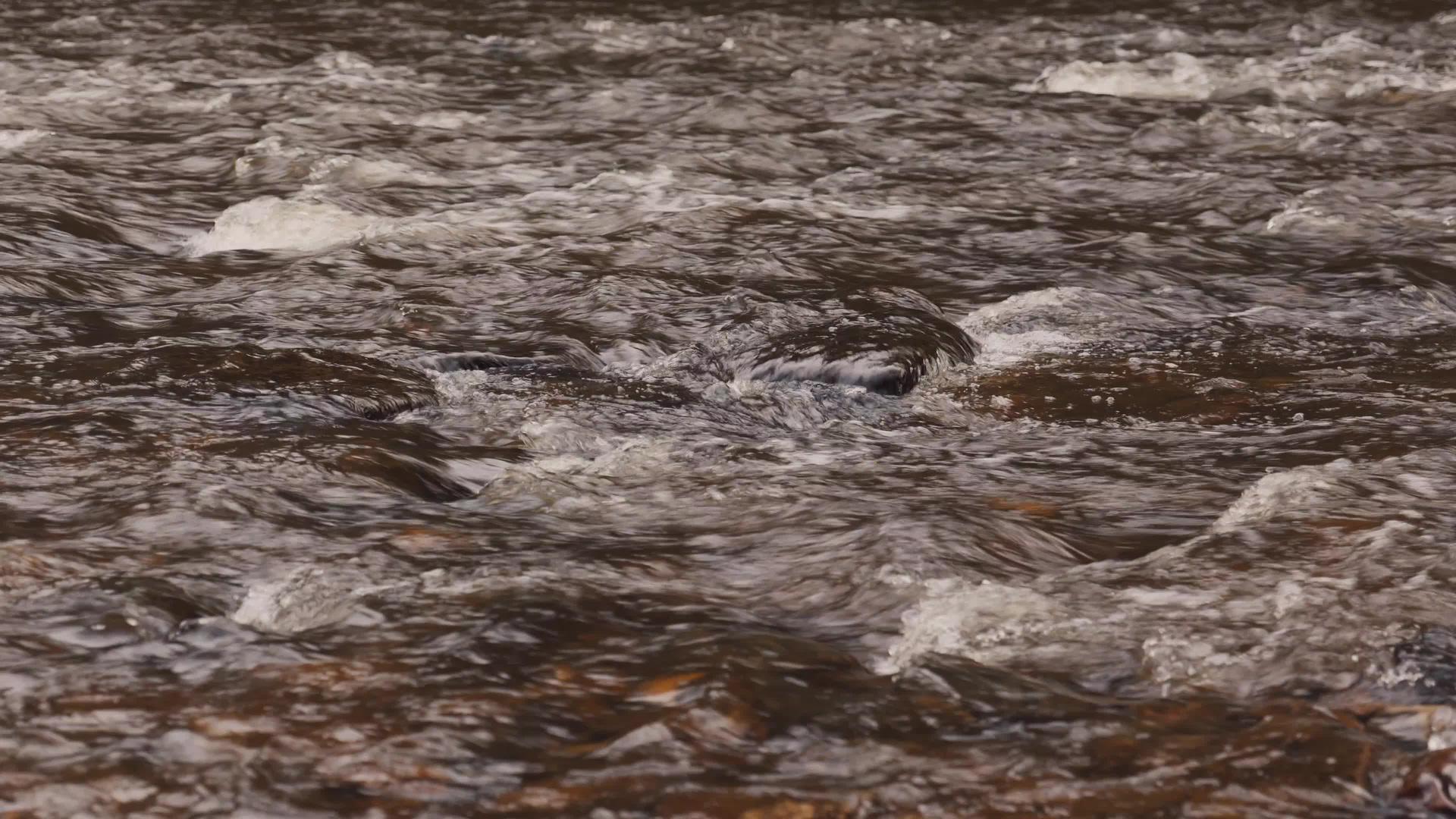 河流速度视频的预览图