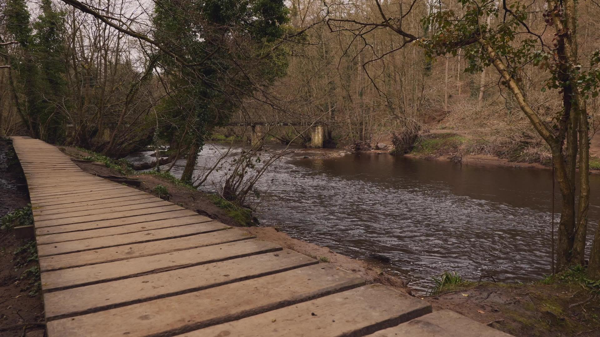 沿河的木制人行道视频的预览图
