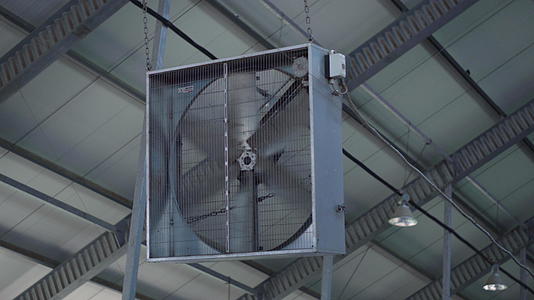 现代农业牛棚的工业风扇控制温度视频的预览图