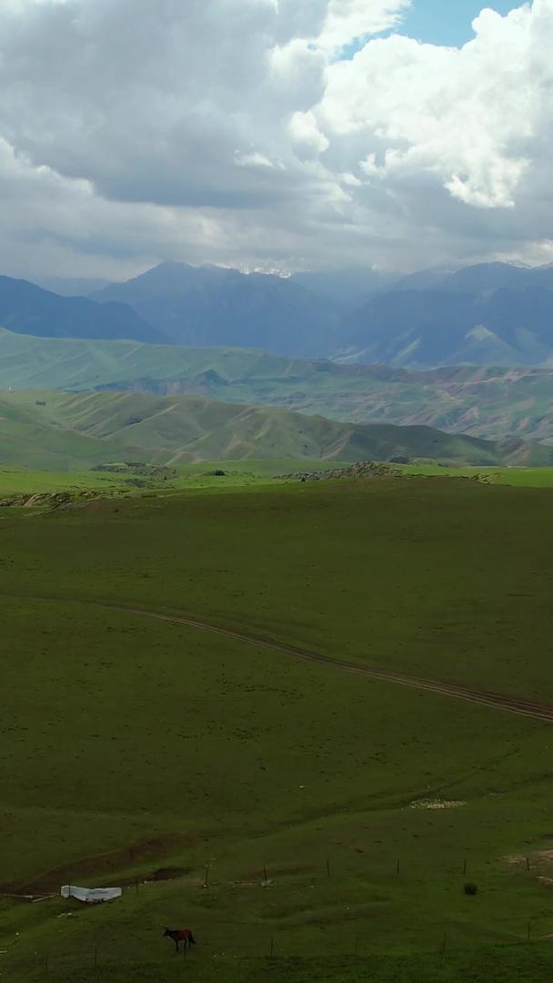 喀拉峻大草原风景区航拍5A被天山环抱视频的预览图