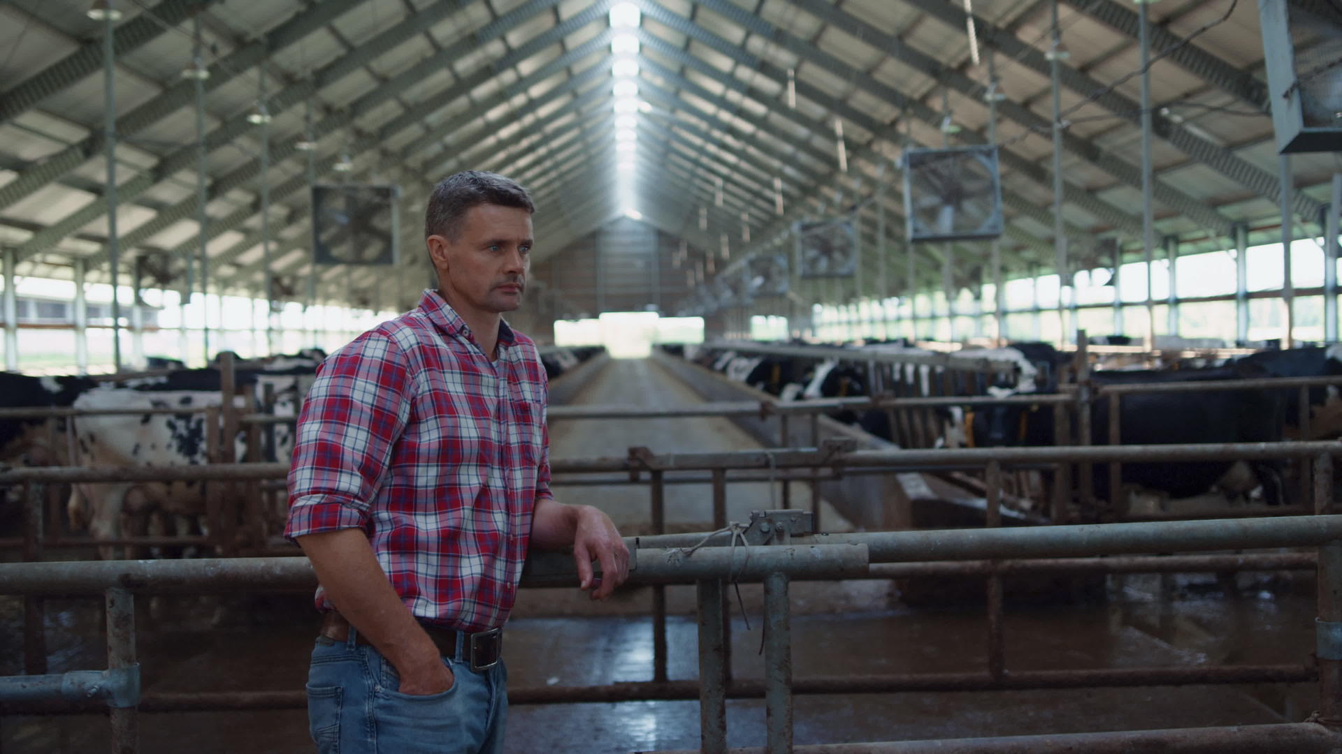 农民站在牛摊上靠在栅栏上视频的预览图