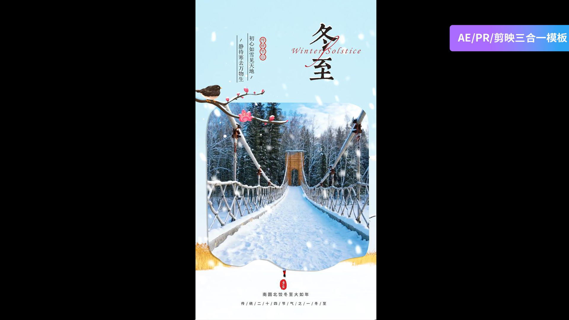 简洁清新的冬至竖版海报AEPR剪影三合一模板视频的预览图