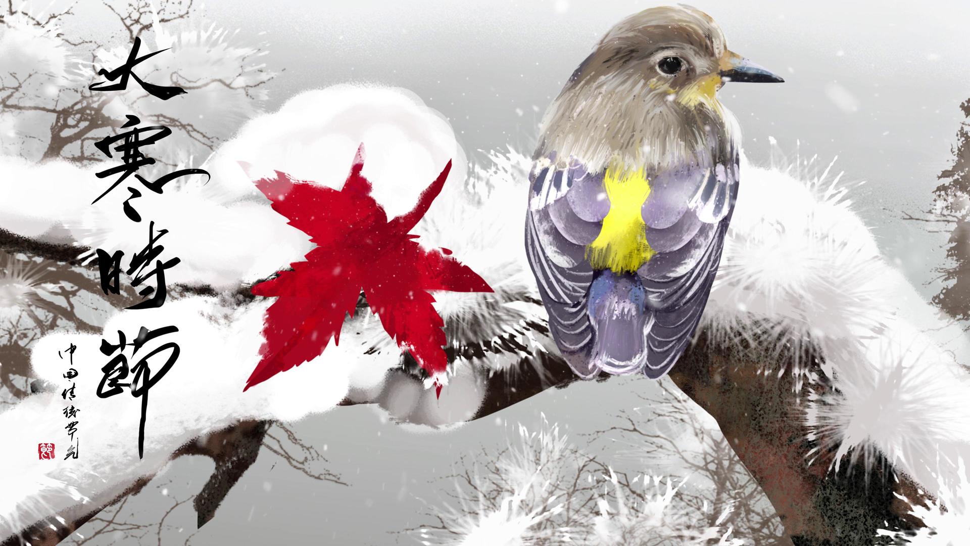 4K枝头上的小鸟大寒冬季背景视频视频的预览图