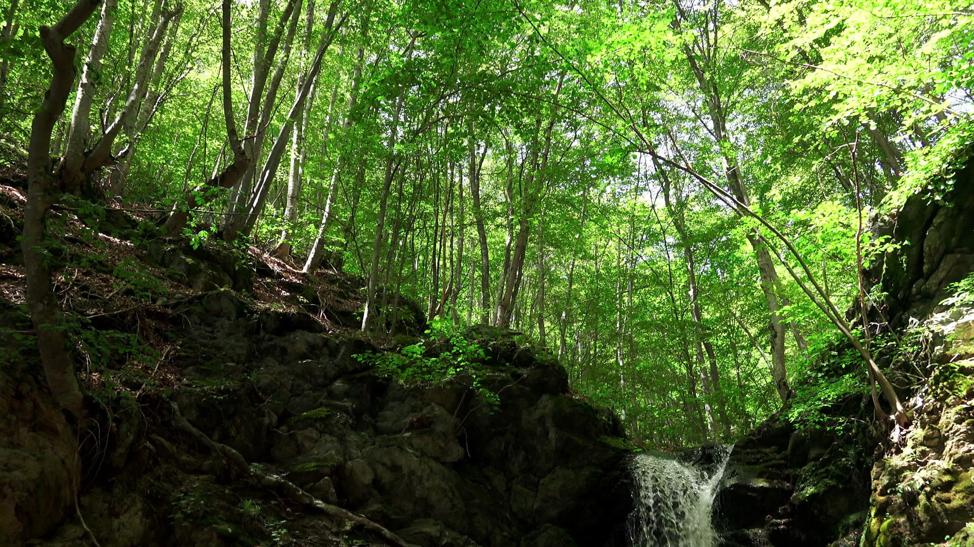 东南亚西亚的森林省美丽的瀑布视频的预览图