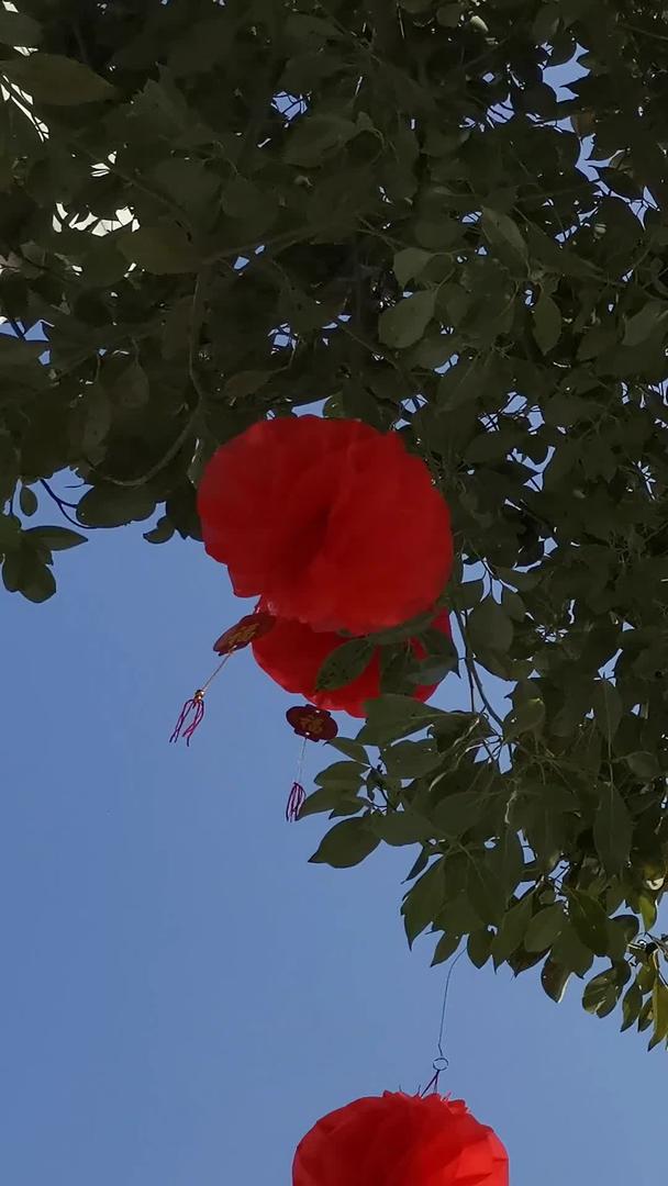 风吹树上的红灯笼视频的预览图