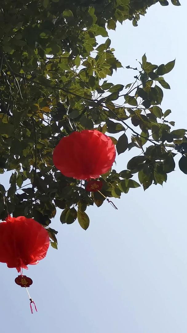 风吹树上的红灯笼视频的预览图