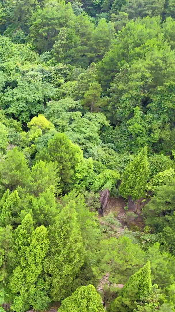 航拍湖南红石林景区视频的预览图