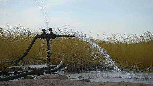 新疆水资源戈壁湿地植被芦苇日落60帧率实拍视频的预览图