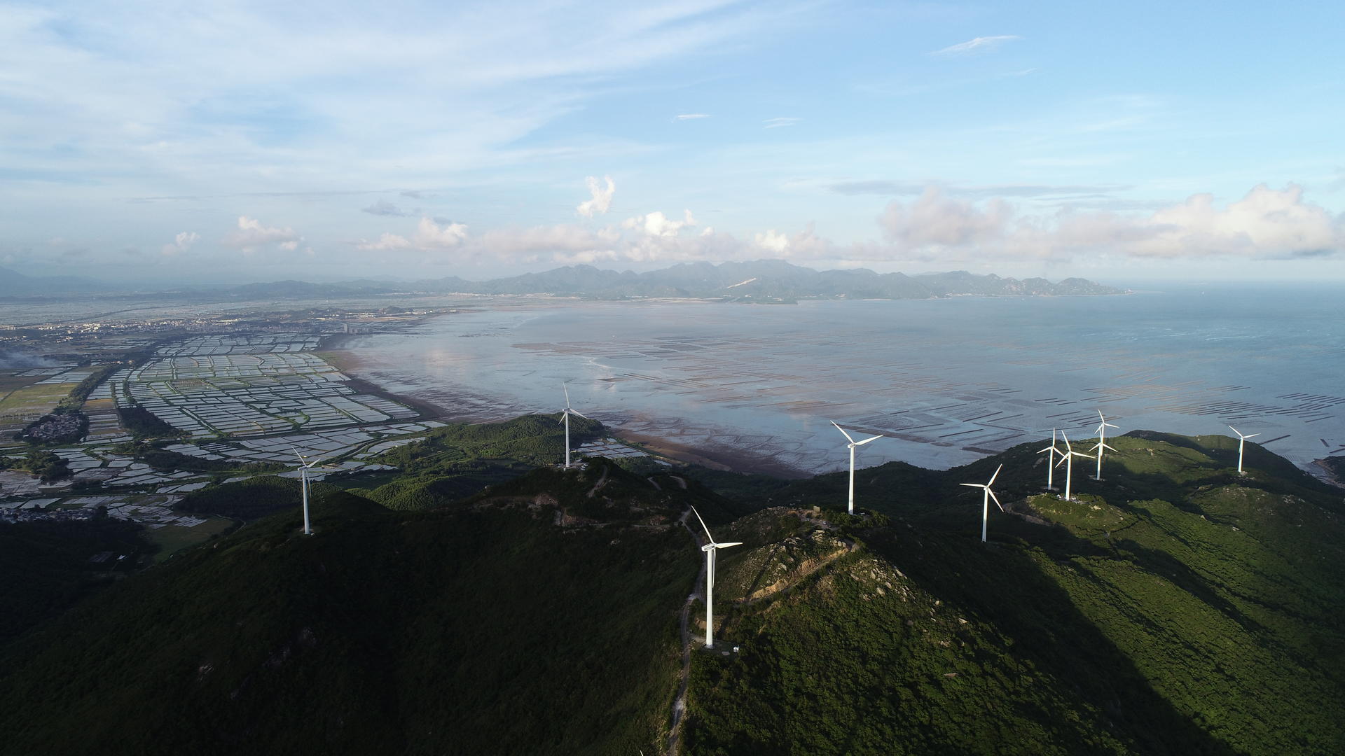 海边的电力风车视频的预览图
